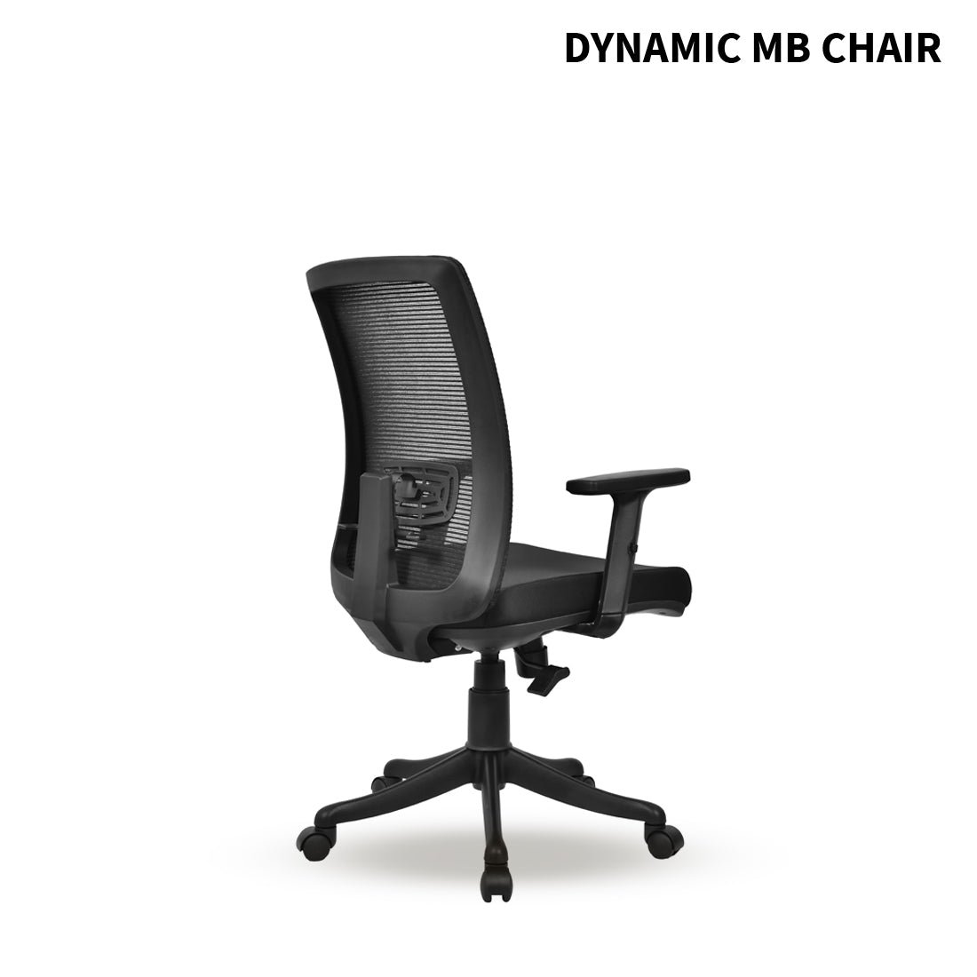 DYNAMIC-MB-ANGLE-005